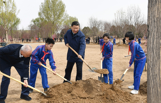 习近平：发扬中华民族爱树植树护树好传统 推动国土绿化不断取得实实在在的成效
